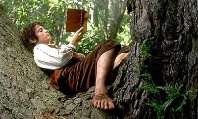 Frodo skorzystał z esensyjnej listy Książek pod choinkę i zatopił się w lekturze 'Niebezpieczeństw onanizmu'