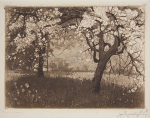 Jan Rubczak, Kwitnący sad, akwatinta w tonie brązu, 1908
