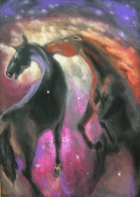 Agnieszka Szady, Hubble horses