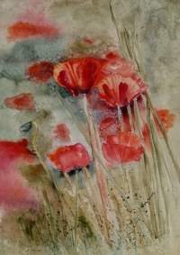 Na czerwonych łąkach; 34×46 cm, 2011r.