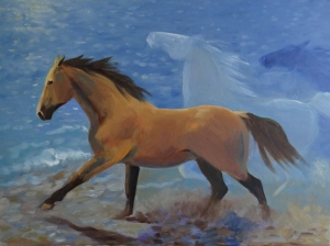 Agnieszka ‘Achika’ Szady, Konie na plaży