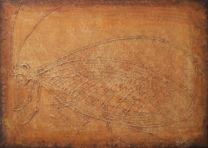 Jadwiga Maj, Zlotook, 25×35cm, 2011<br/>źródło: Galeria Limited Edition
