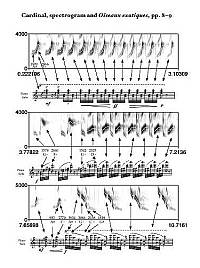 Analiza spektralna i zapis nutowy śpiewu kardynała (z rodziny trznadlowatych)<br/>© www.oliviermessiaen.org