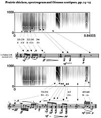 Analiza spektralna i zapis nutowy śpiewu preriokura (z rodziny głuszcowatych)<br/>© www.oliviermessiaen.org