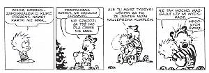 „Calvin i Hobbes”