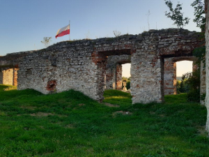 Ruiny z bliska<br/>Fot. Wojciech Gołąbowski