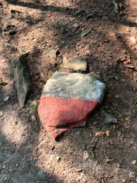 Kamień na podejściu pod Halę Radziechowską<br/>fot. Marcin Grabiński