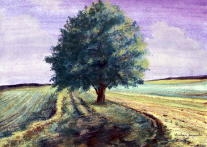 Mirosław Sojnowski, Drzewo. Pastel. 30×20