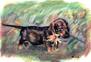 Mirosław Sojnowski, Pies z kwiatkiem; pastel; 20×30cm