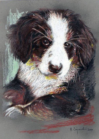 Mirosław Sojnowski, Pies; pastel; 30×20cm
