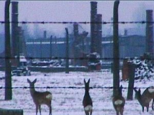 Mirosław Bałka, „Winterreise (Bambi, Bambi)”, 2003, video