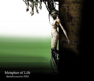 „Metafora życia”</br>Fot. art.webesteem.pl