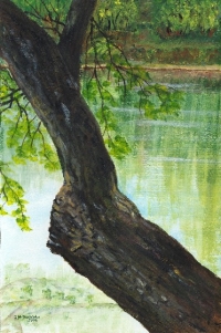 „Drzewo nad wodą”</br> Fot. www.felicitas.republika.pl